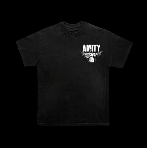 image of the front of a black tee shirt. tee has small right chest print in white of an angel and the word amity.